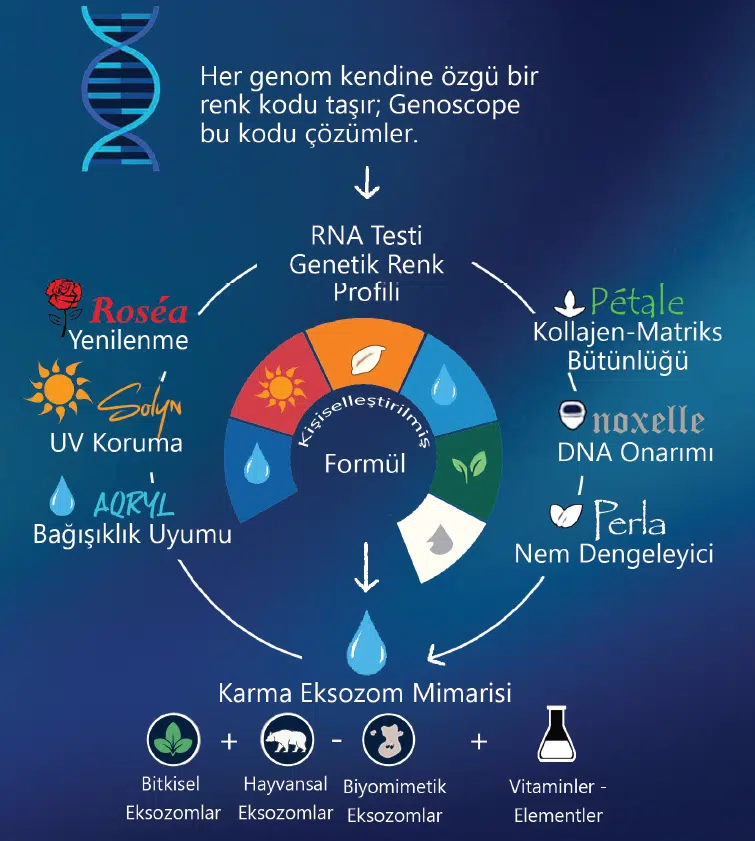 Genomik renk diyagramı